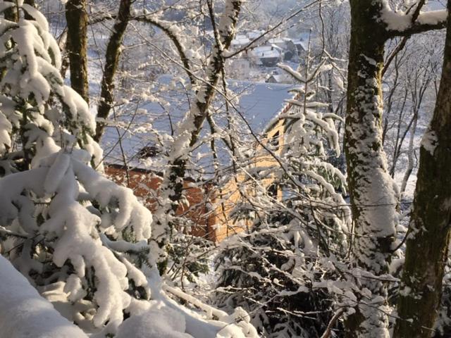 Villa Cora Venez Neuve Avec Spa Saint-Bresson Exteriör bild