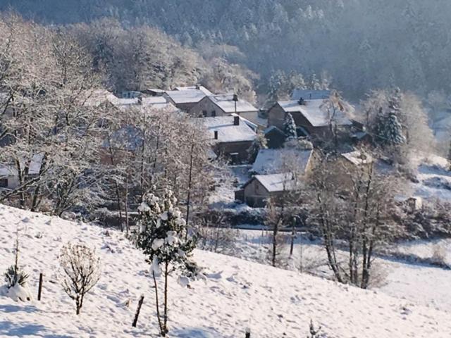 Villa Cora Venez Neuve Avec Spa Saint-Bresson Exteriör bild
