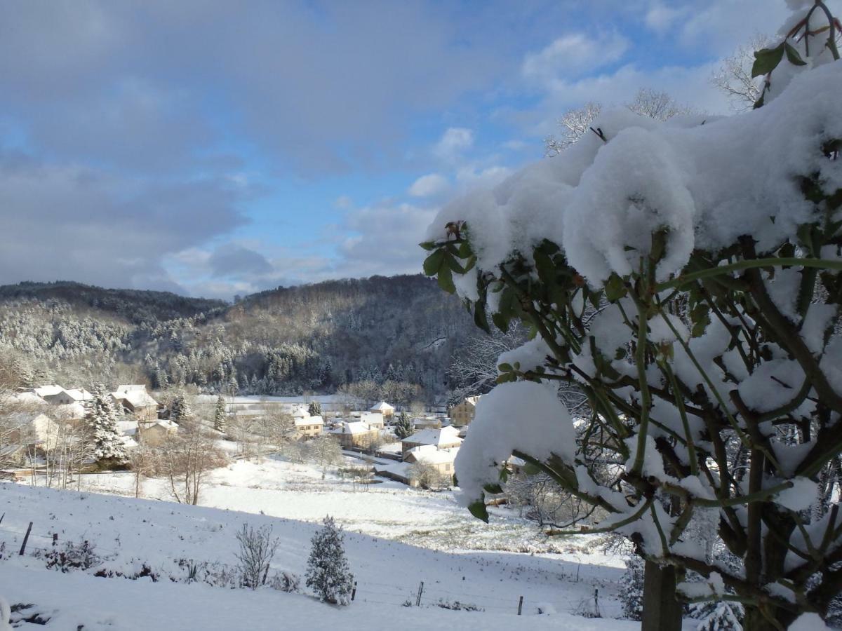 Villa Cora Venez Neuve Avec Spa Saint-Bresson Exteriör bild
