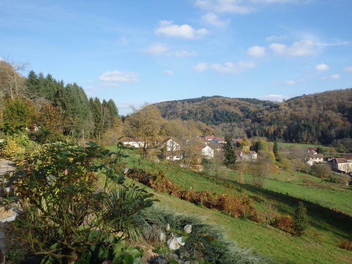 Villa Cora Venez Neuve Avec Spa Saint-Bresson Exteriör bild