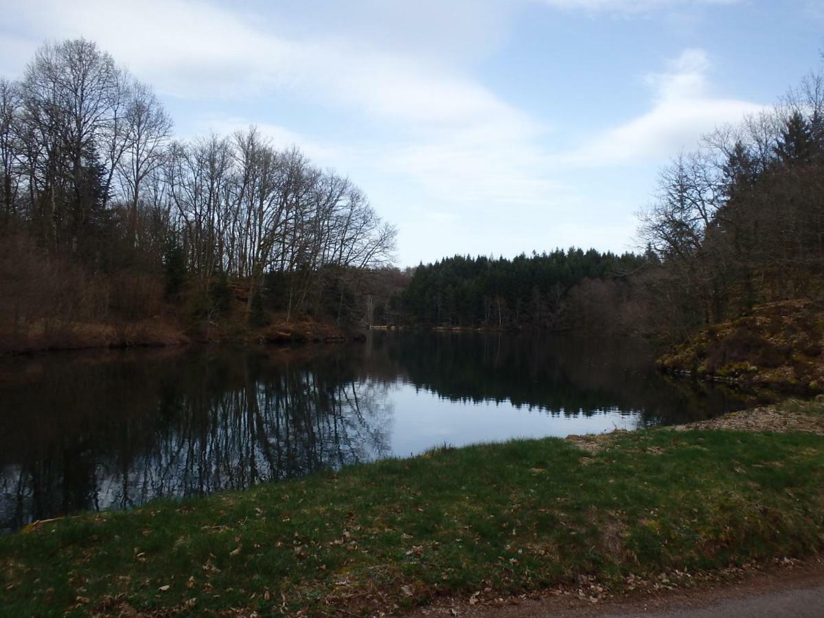 Villa Cora Venez Neuve Avec Spa Saint-Bresson Exteriör bild