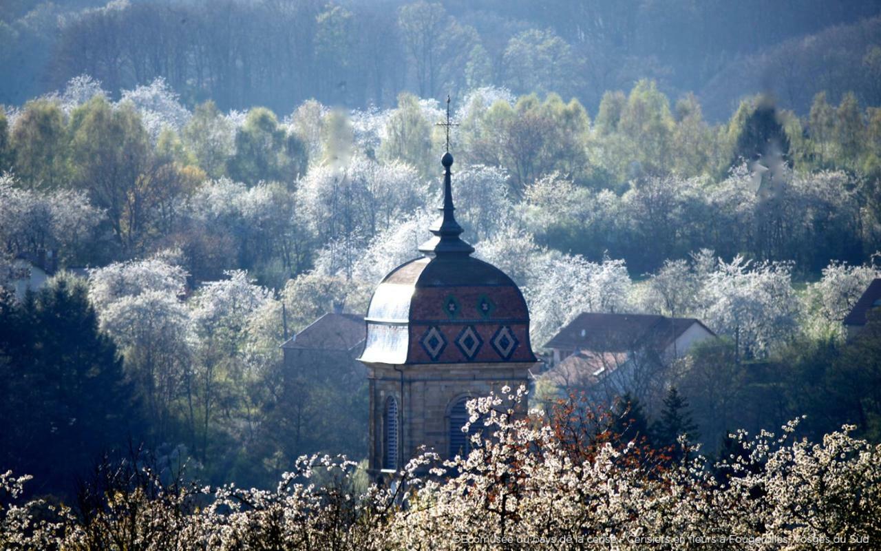 Villa Cora Venez Neuve Avec Spa Saint-Bresson Exteriör bild